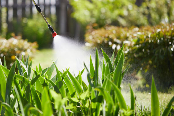 24/7 Emergency Cockroach Control experts in Grosse Pointe Park, MI